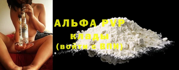 прущие грибы Магадан