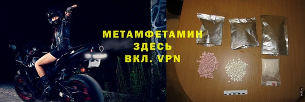 прущие грибы Магадан