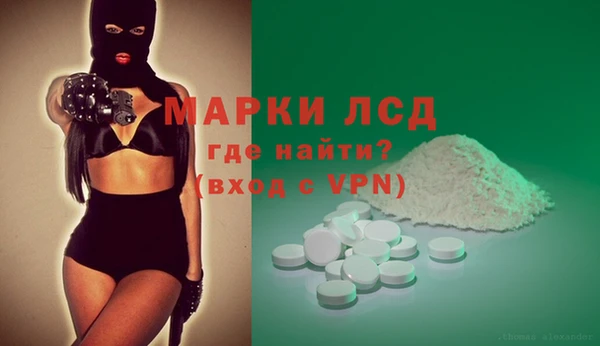 PSILOCYBIN Строитель