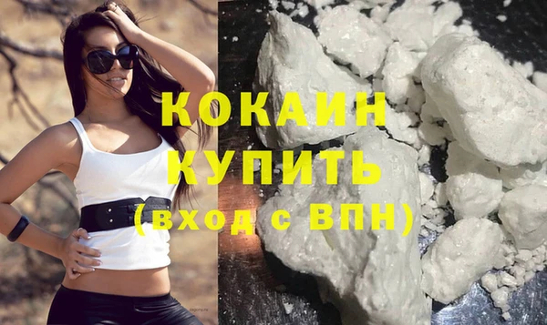 прущие грибы Магадан