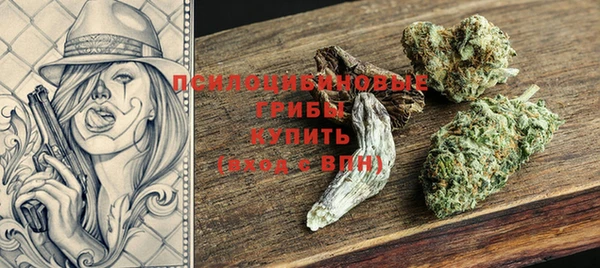 прущая мука Магас