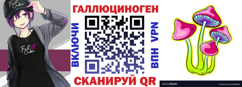 как найти закладки  Сураж  Псилоцибиновые грибы GOLDEN TEACHER 